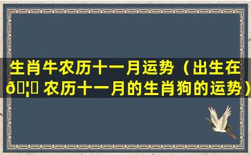 生肖牛农历十一月运势（出生在 🦈 农历十一月的生肖狗的运势）